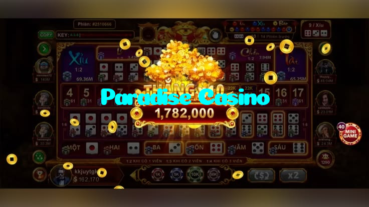 available types of Paradise Casino bet including pre-match live express and system bets